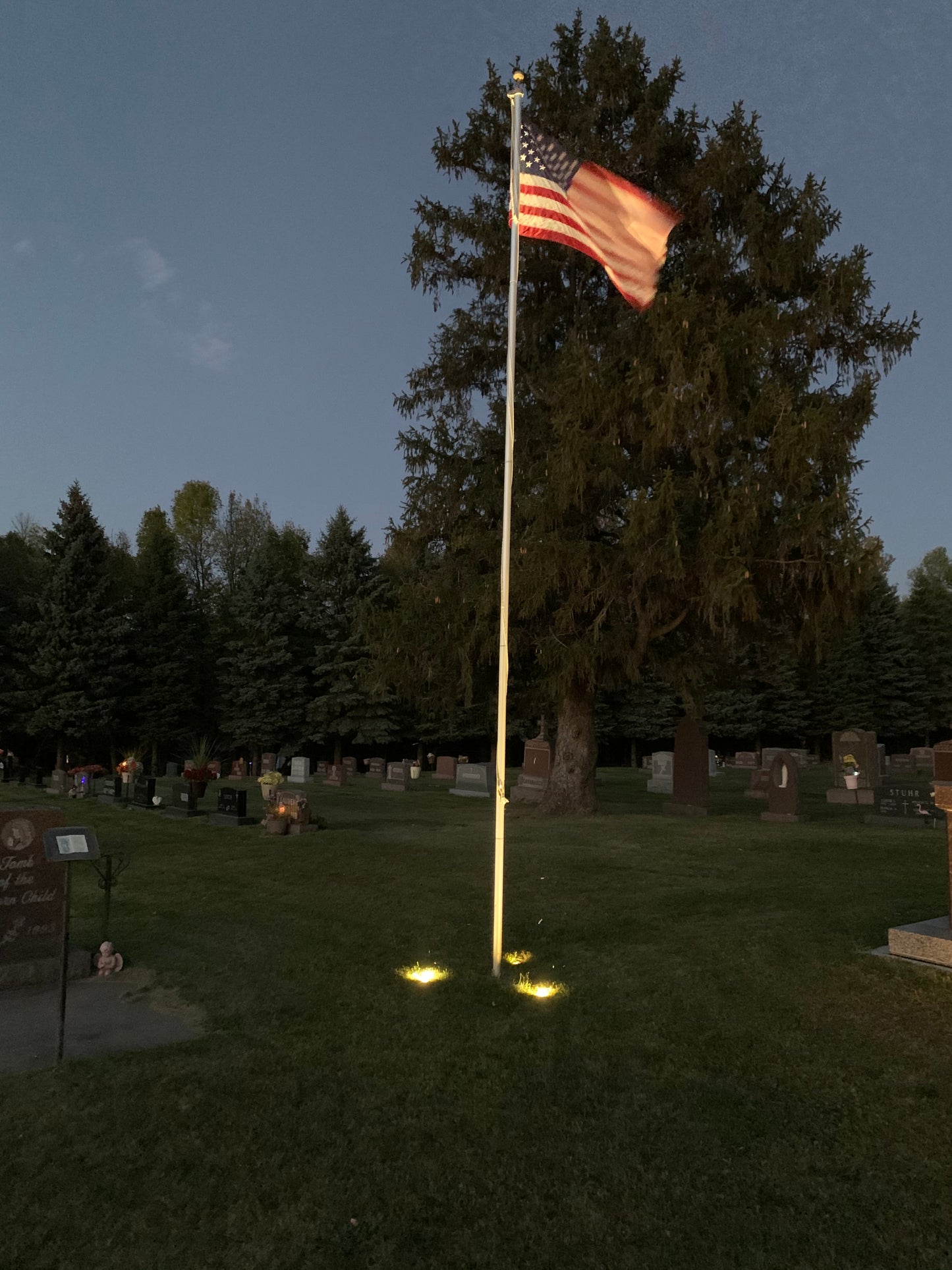 MaxFlood Commercial Series