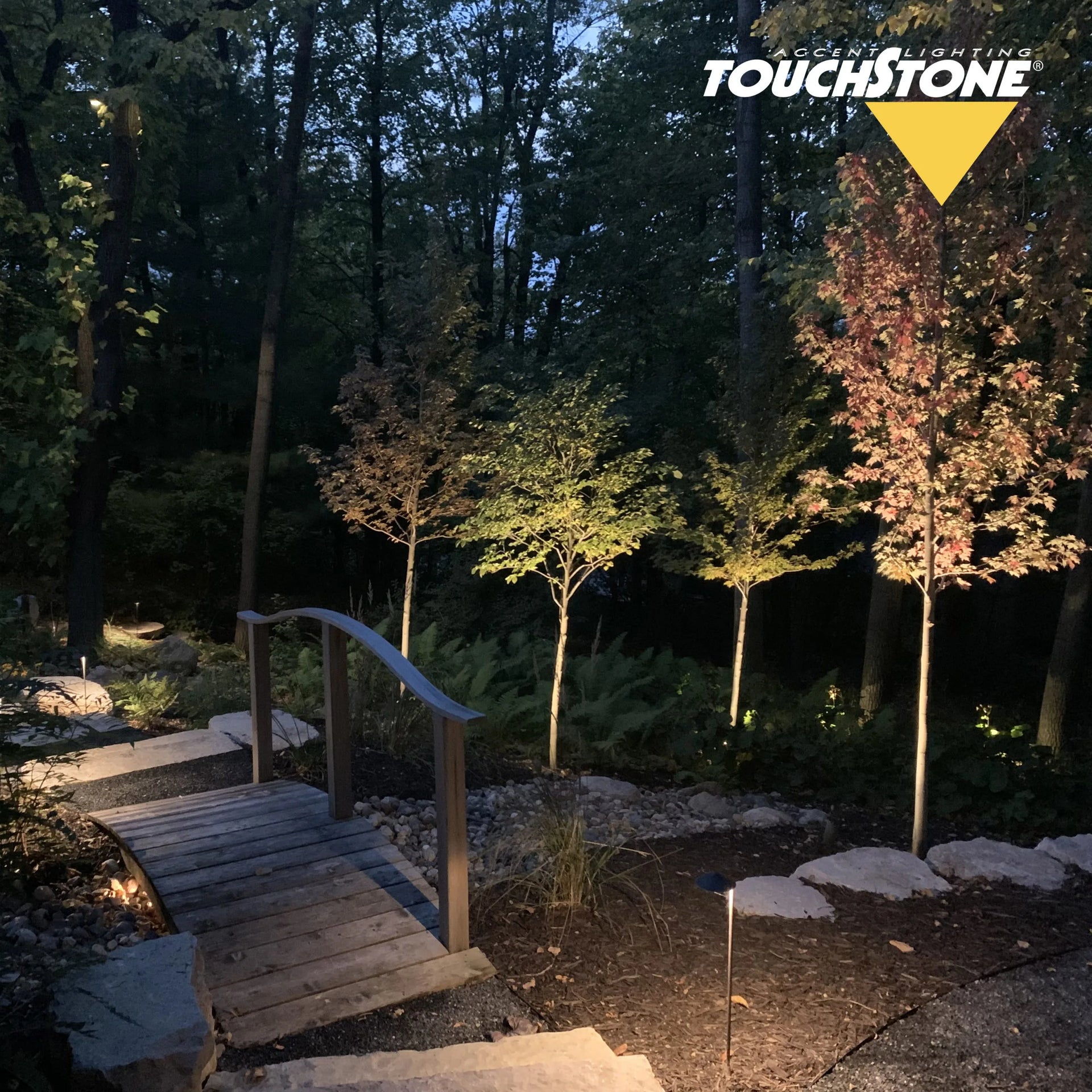 <div class="metafield-rich_text_field"><p>LED-backlit shelving with color accents behind bottles</p></div>