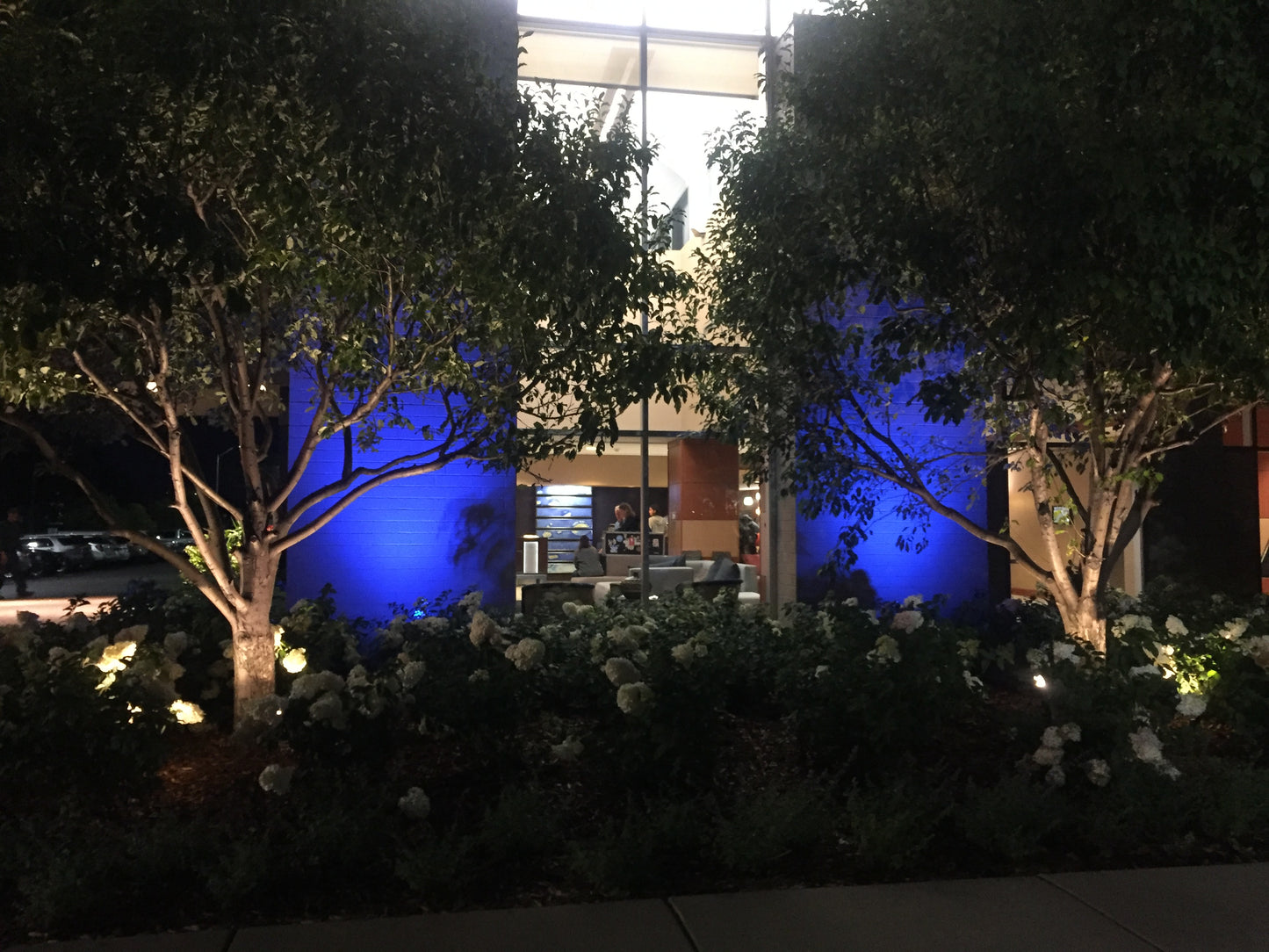 MaxFlood Commercial Series