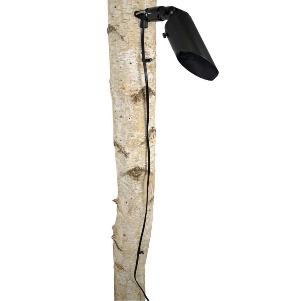 Tree Flood Commercial Series