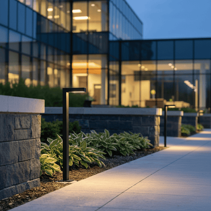 The Loo Commercial Series